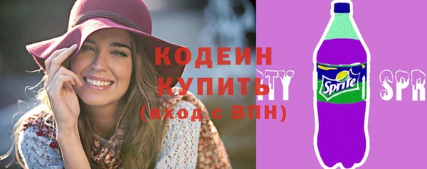 гашик Бородино
