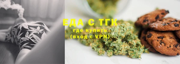 гашик Бородино