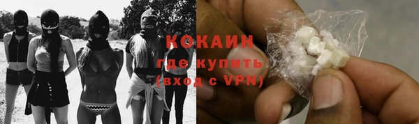 гашик Бородино