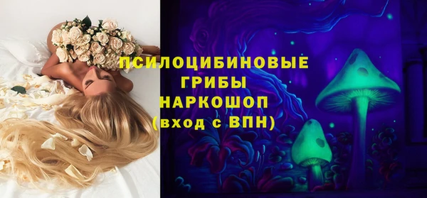 гашик Бородино